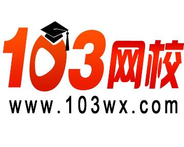 天津一零三網絡科技 創新驅動的網絡科技先鋒